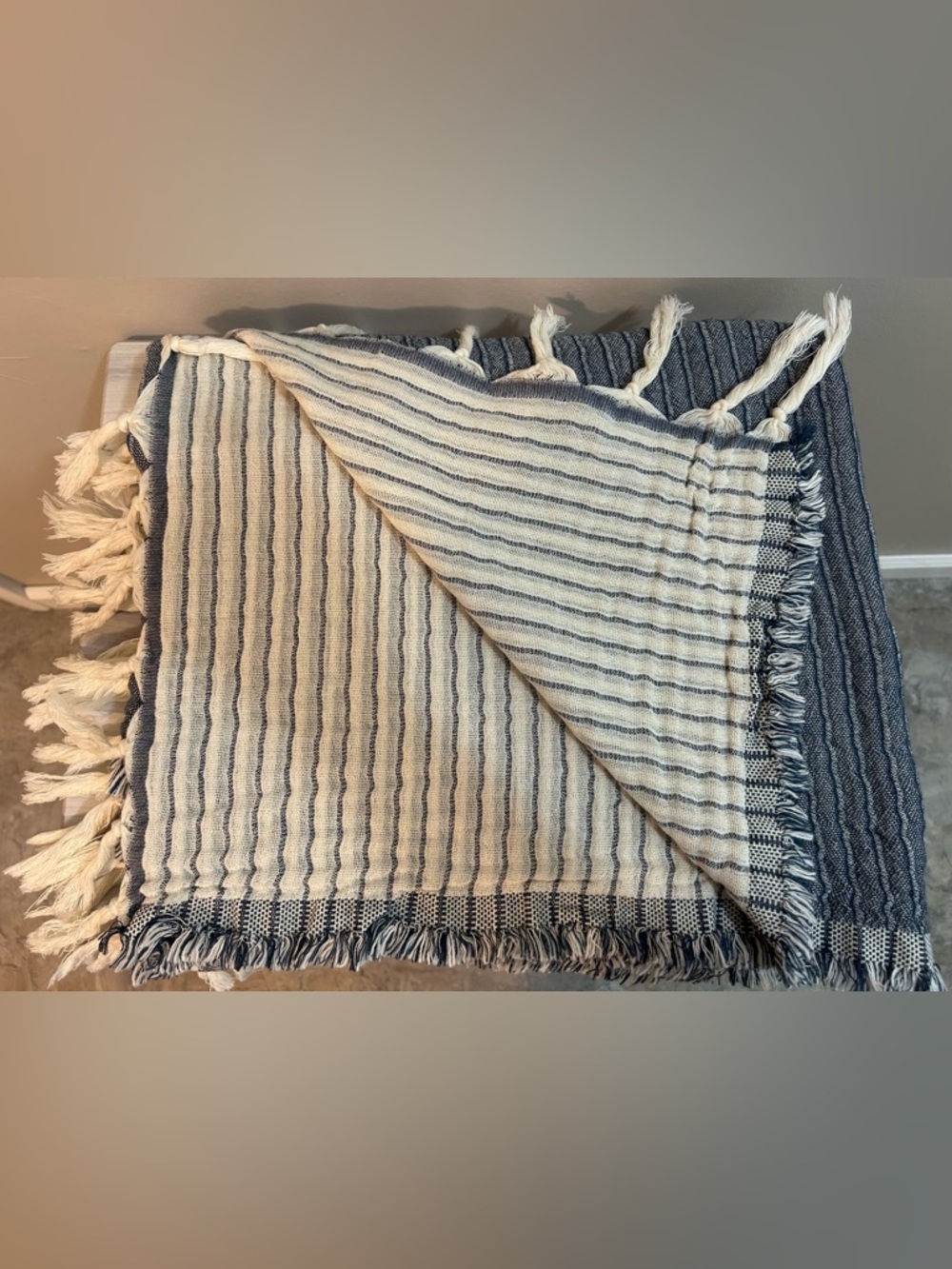 Hearth & Hand Blue Throw W/ Fringe